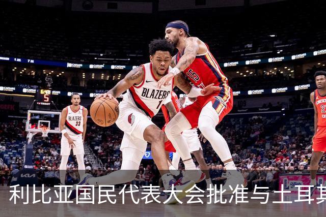 利比亚国民代表大会批准与土耳其海域划界协议，欧盟和希腊表达反对